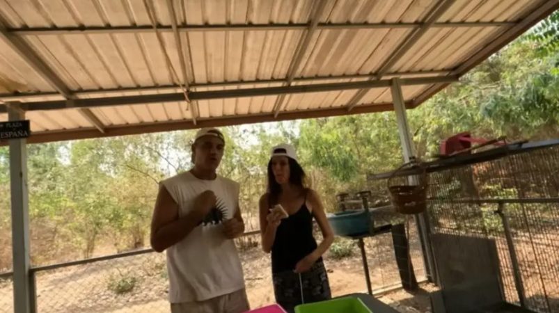 Sin duda es un realizador exitoso