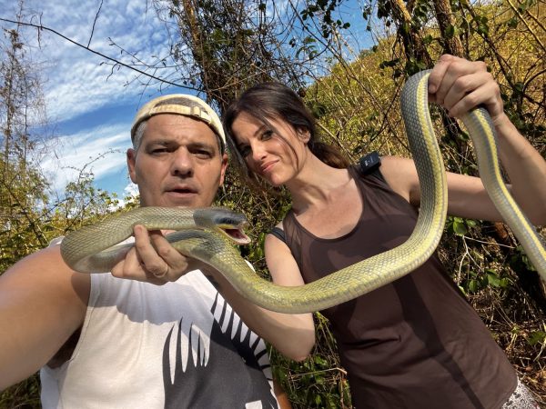 Lo que promete “Carretera Salvaje”