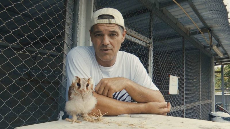 ¿Por qué se conoce a Frank Cuesta?