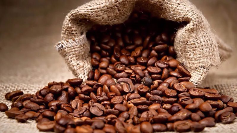 Café, el mejor método para acabar con tus plagas de hormigas 46 Merca2.es Granos de café