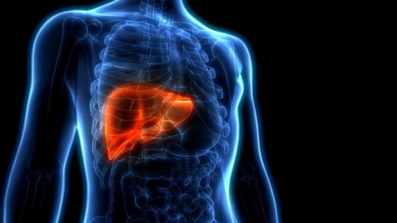 Comienza a cuidar tu hígado hoy mismo