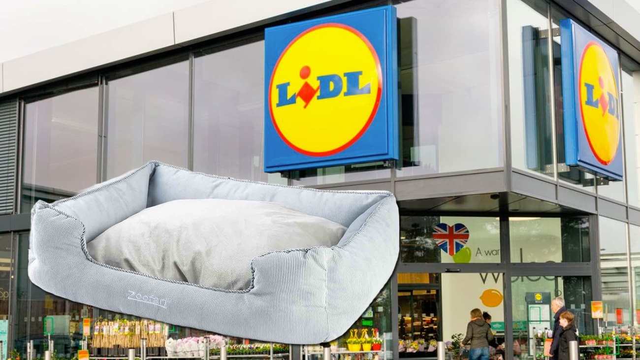 Lidl desata la fiebre por esta cama para mascotas, barata y hecha con materiales reciclables