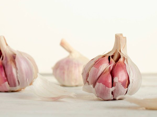 Otros remedios para ahuyentar a los insectos