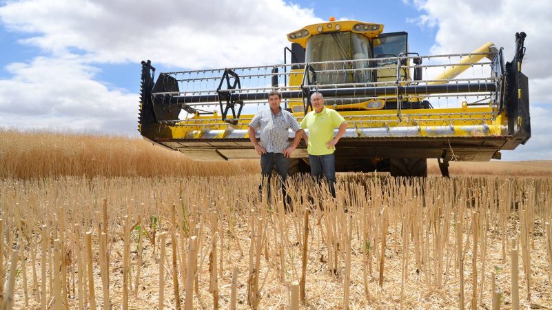 Así es como afecta la falta de lluvia a tu economía y tu salud 76 Merca2.es sequía