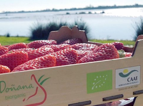 Alemania alienta un boicot contra la fresa española Alemania alienta un boicot contra la fresa española