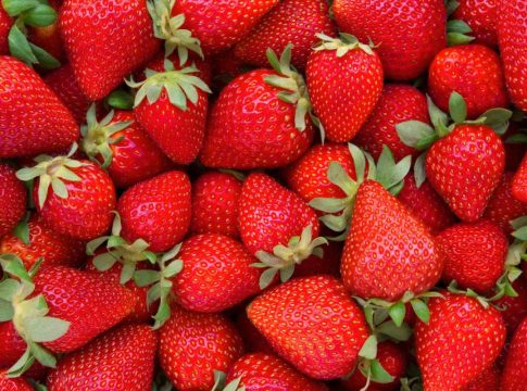 fresas©iStock Aldi y Lidl boicot fresas