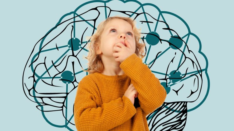 Estas son las señales para reconocer si tus hijos tienen altas capacidades 8 Merca2.es Hay que detectarlos de manera temprana