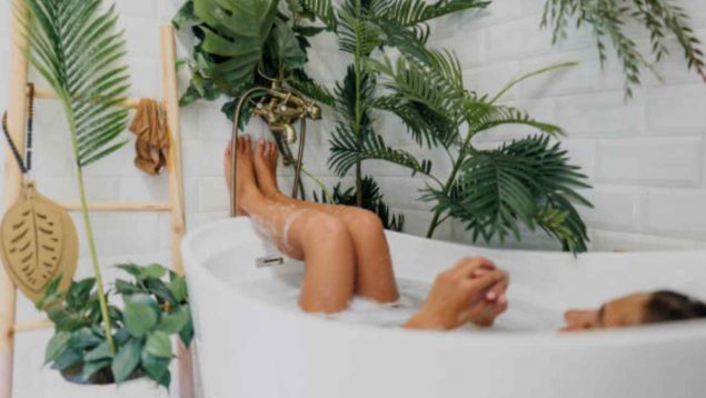 Acaba con las humedades y el moho del baño con estas plantas