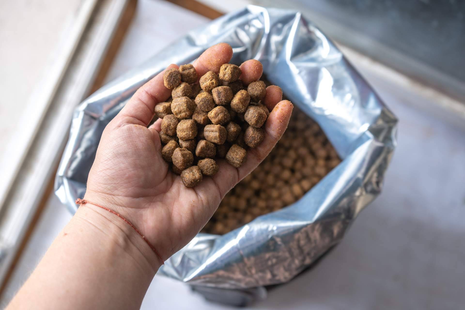 Encontrar el alimento ideal para una mascota, con la ayuda de Kaman Pet y su sistema de calidad nutricional Kaman Points
