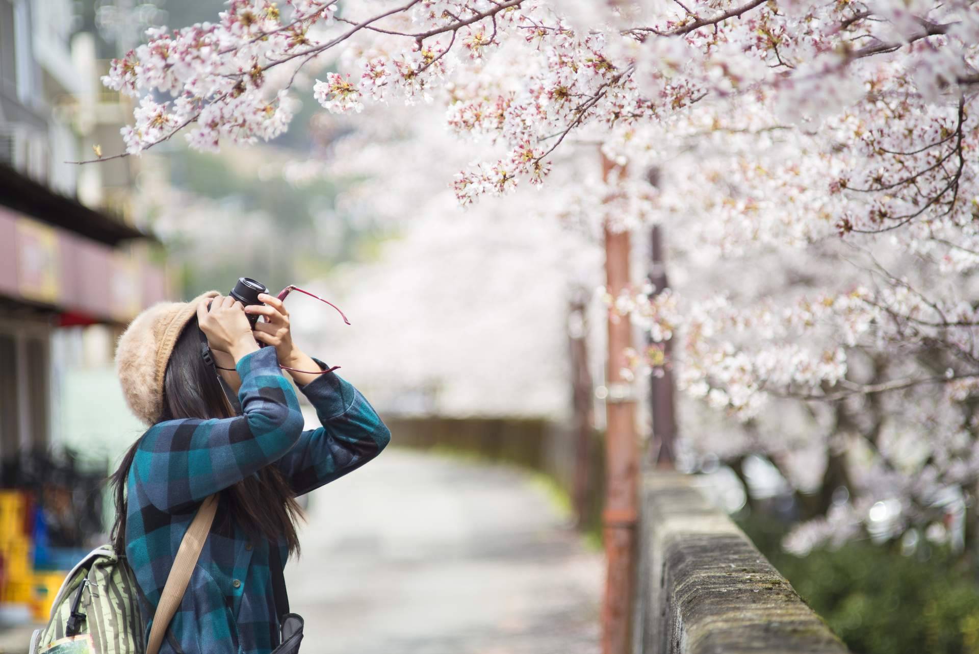 Hacer un viaje de luna de miel a Japón con Fénix Viajes