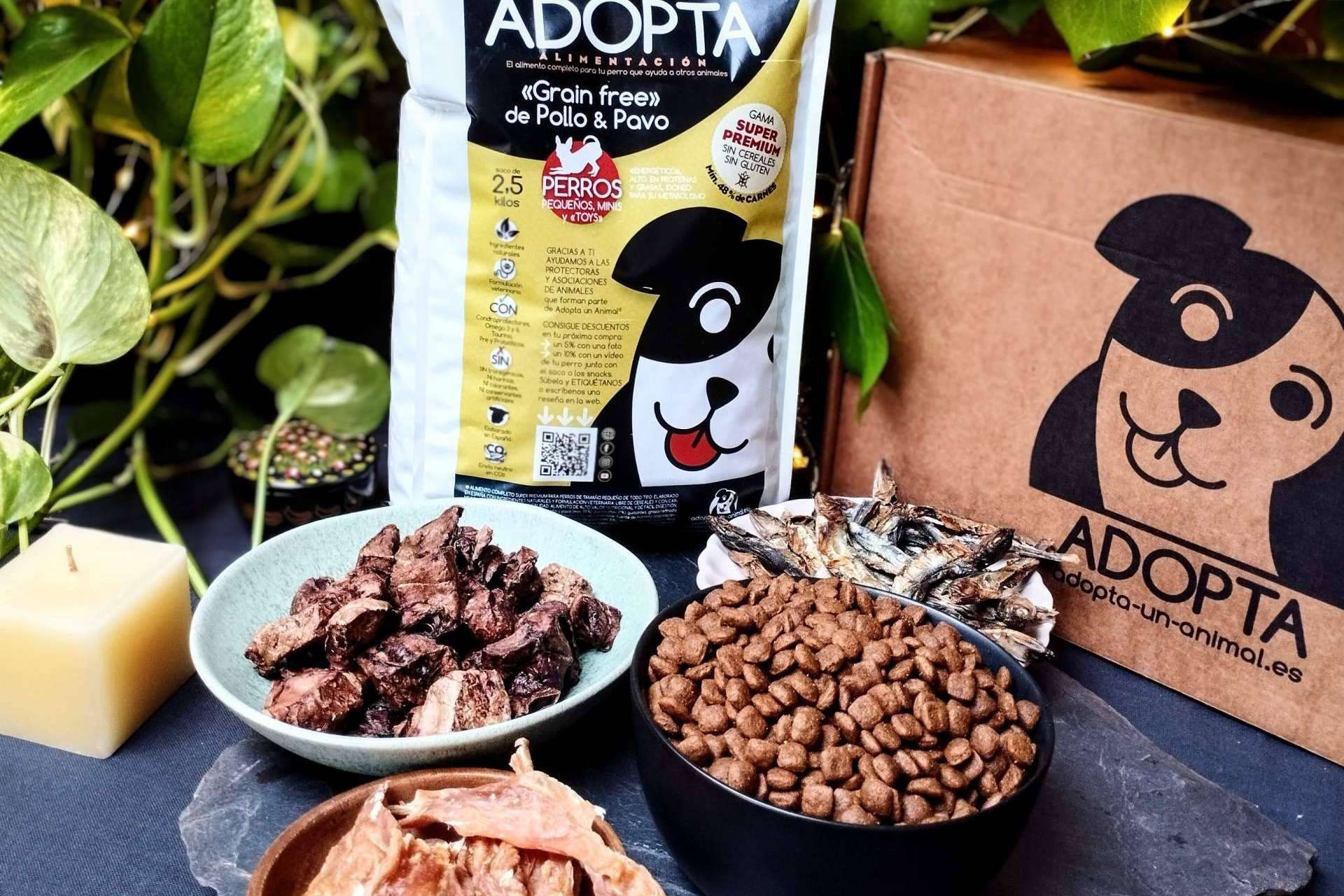 Adopta un Animal sobre las ventajas principales del pienso sin cereales