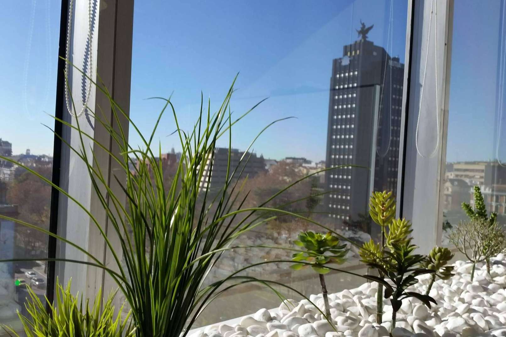 Atrium proporciona los servicios necesarios para el comienzo de una actividad empresarial