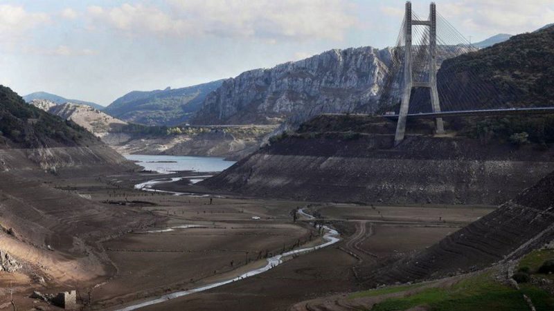 Así es como afecta la falta de lluvia a tu economía y tu salud 80 Merca2.es luz Merca2.es