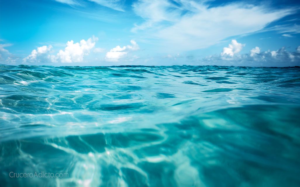 Los peligros de la pesca indiscriminada en España 3 Merca2.es Reducción del uso de plásticos y otros desechos