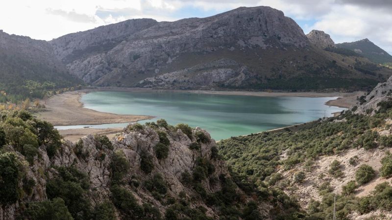 pantano Merca2