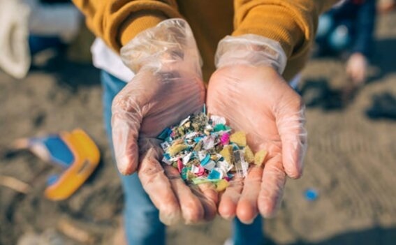 La toxicidad del plástico aumenta con el reciclaje, advierte Greenpeace