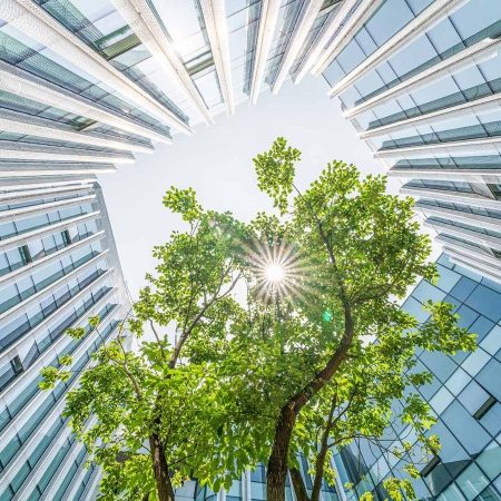 Schneider Electric ofrece a Pymes  formación en sostenibilidad empresarial