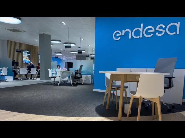 Endesa publica su primer informe sobre Gestión de Derechos Humanos con tres años de antelación
