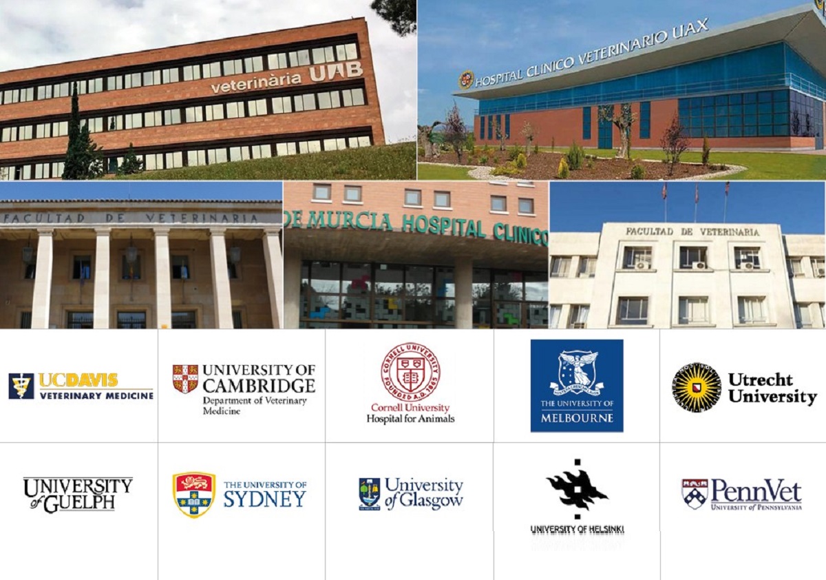 Descubre las mejores universidades internacionales y españolas para estudiar veterinaria