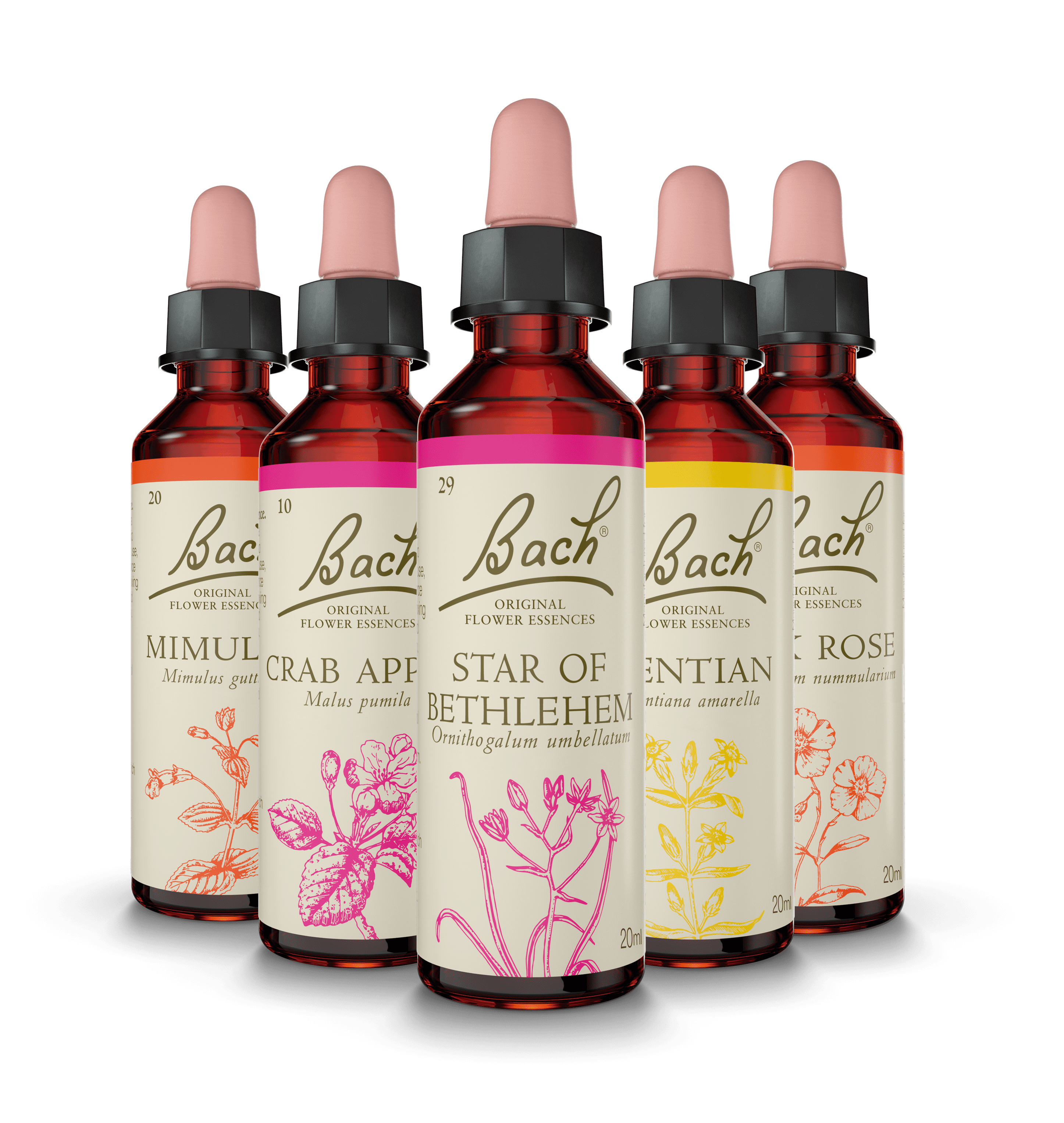 Las Flores de Bach® Originales ayudan a gestionar las emociones