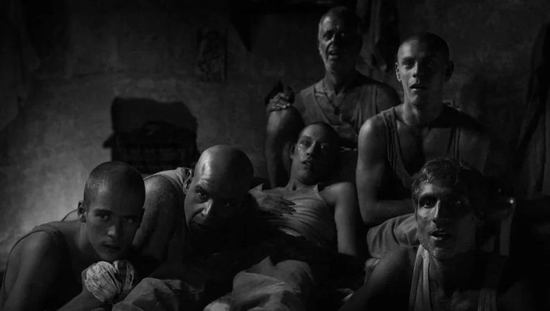 Las noches de Tefia 1 Merca2.es