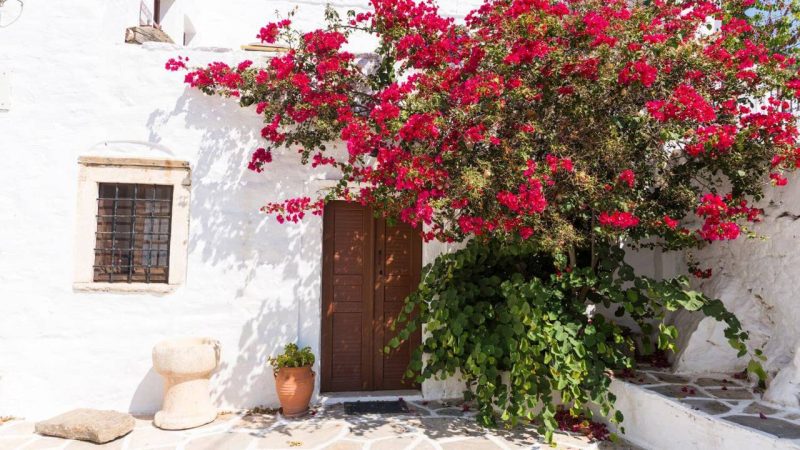 La colección de ropa de Lidl ha conquistado a muchas