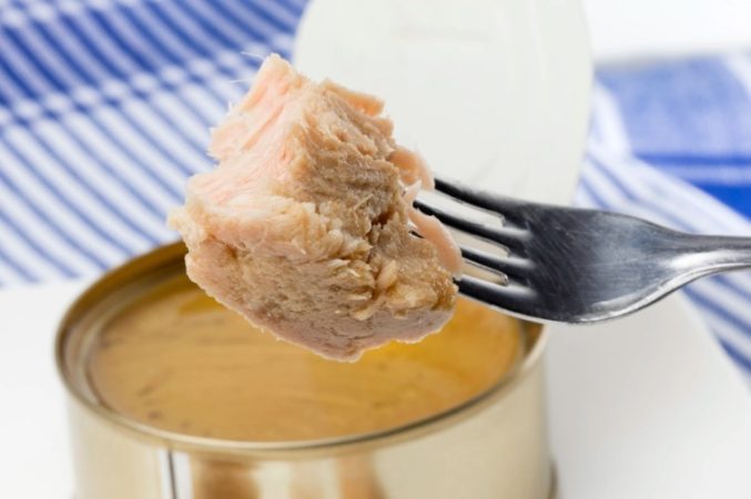 Las principales fábricas de atún en conserva están aquí