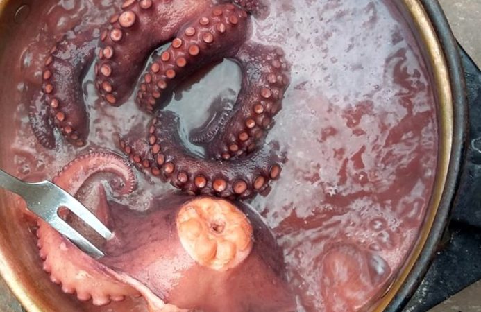 Cómo preparar un increíble pulpo a la gallega 28 Merca2.es Pon a hervir el pulpo