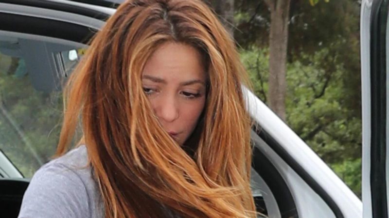 La música y los colaboradores la han apuntalado