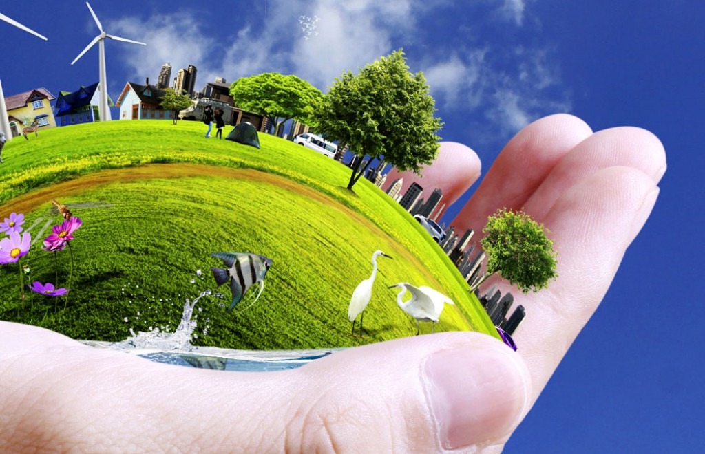 Sostenibilidad: así son las energías renovables lideran el camino