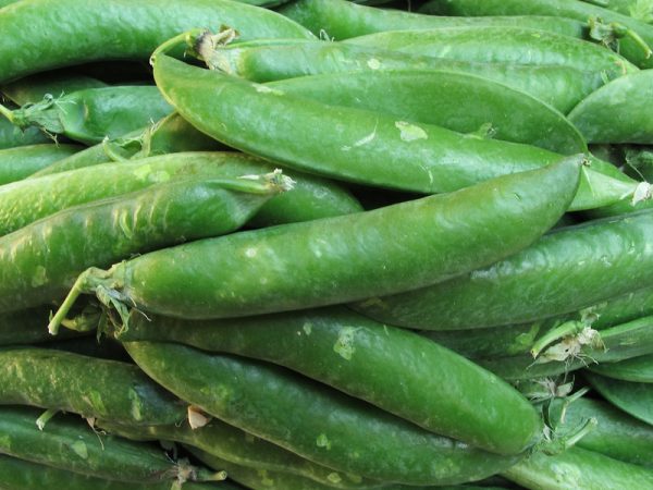 Tirabeques Merca2.es