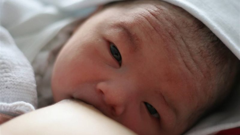 Fórmulas de inicio (0–6 meses)