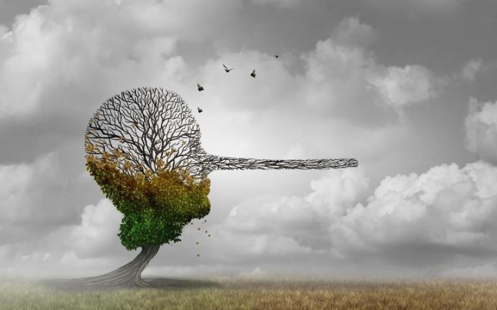 concepto mentira Merca2.es