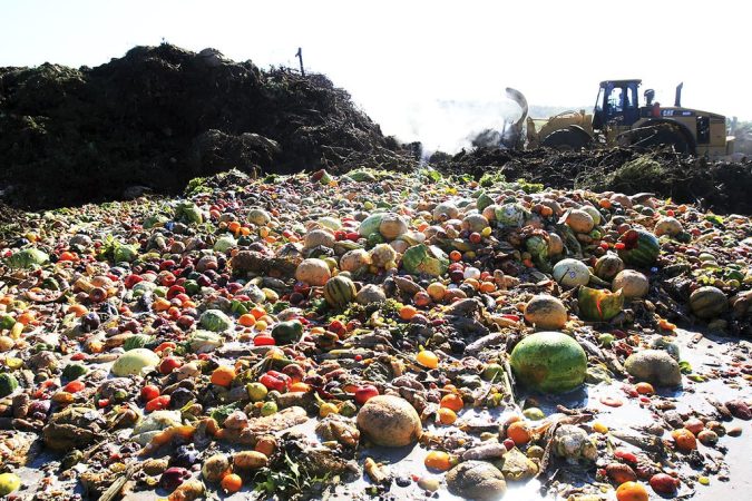 desperdicio alimentario