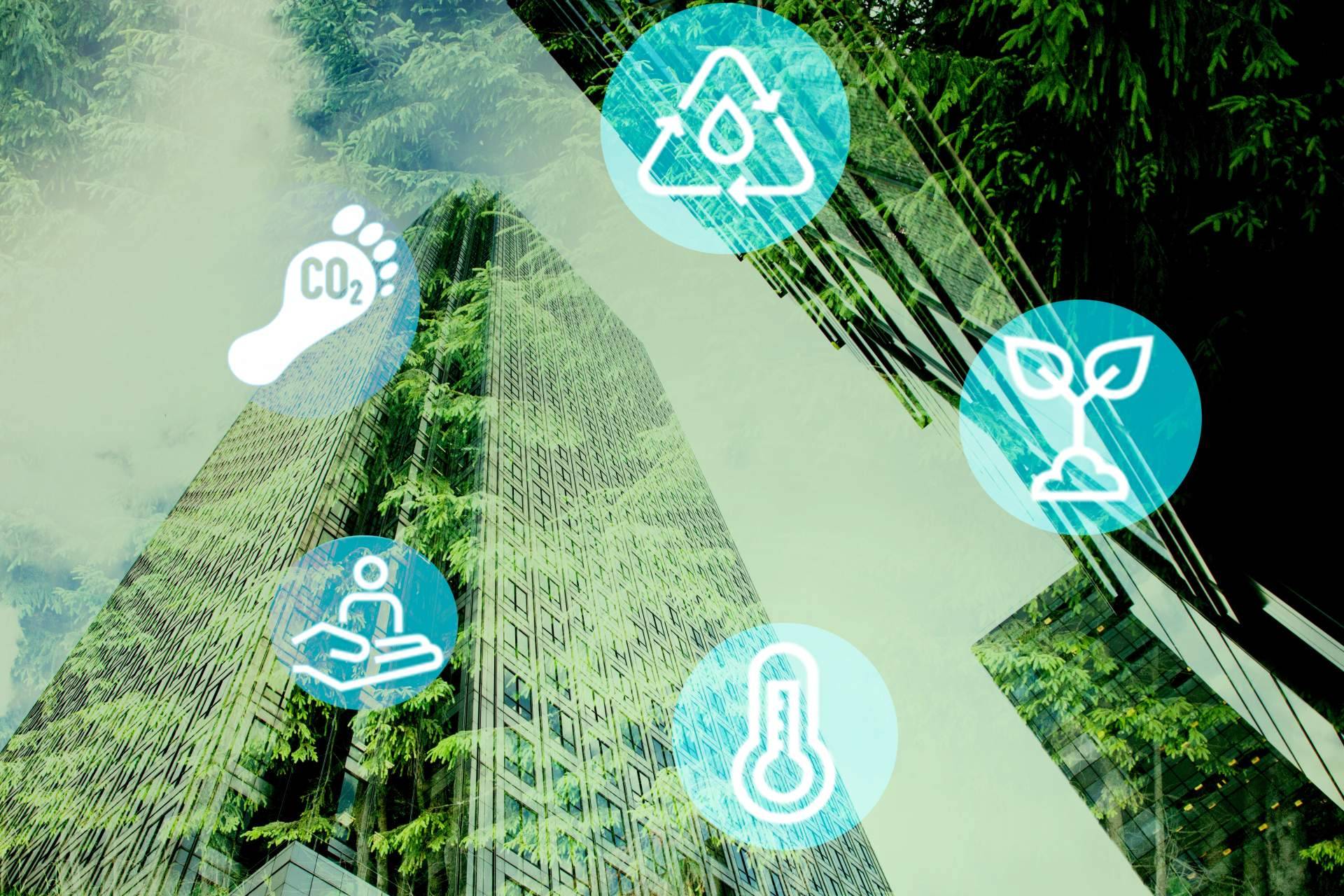 Asernorma, consultoría especializada en calidad, medioambiente y Responsabilidad Social Corporativa