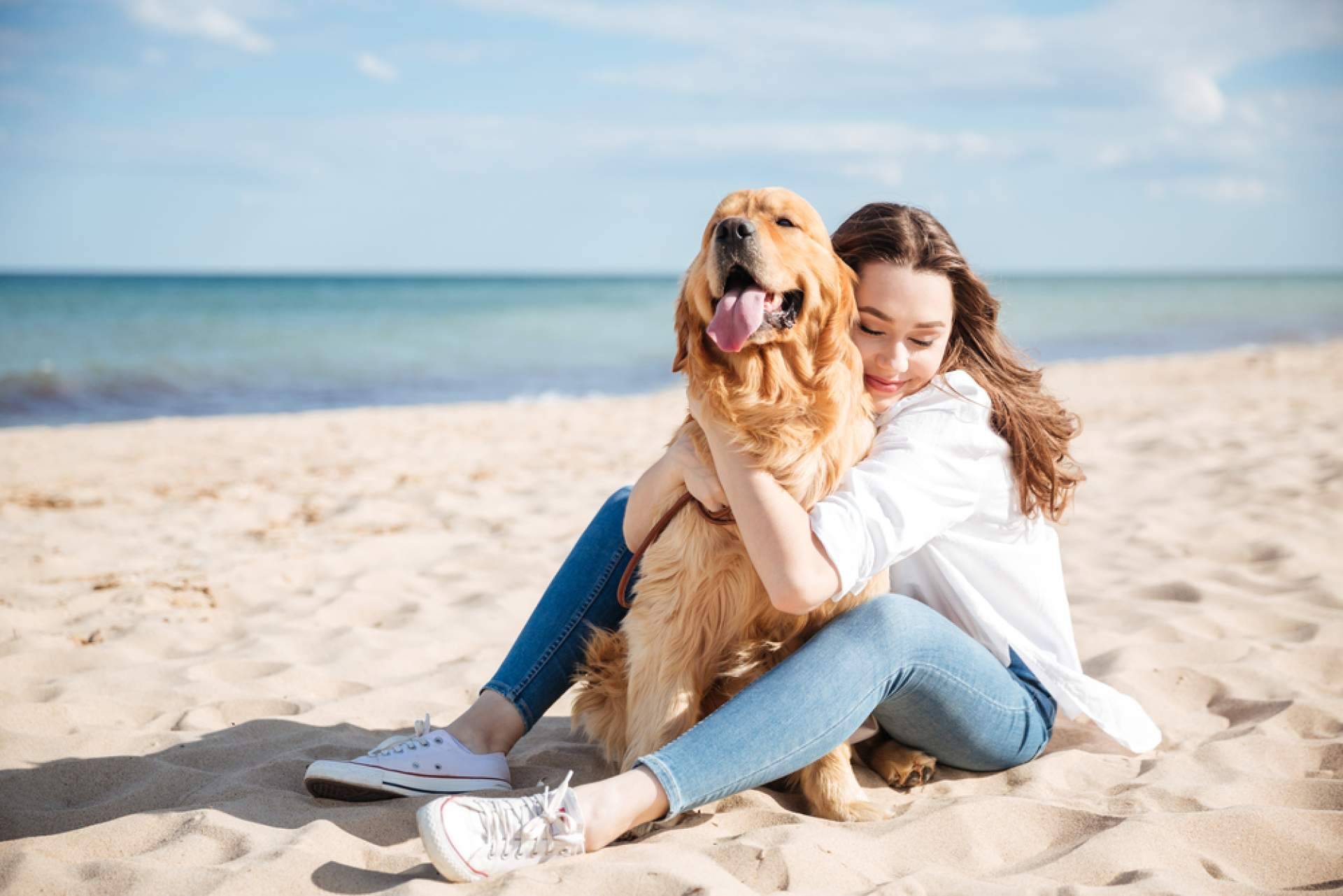 El buscador de adopciones ADOPTA está transformando la vida de los animales de refugio