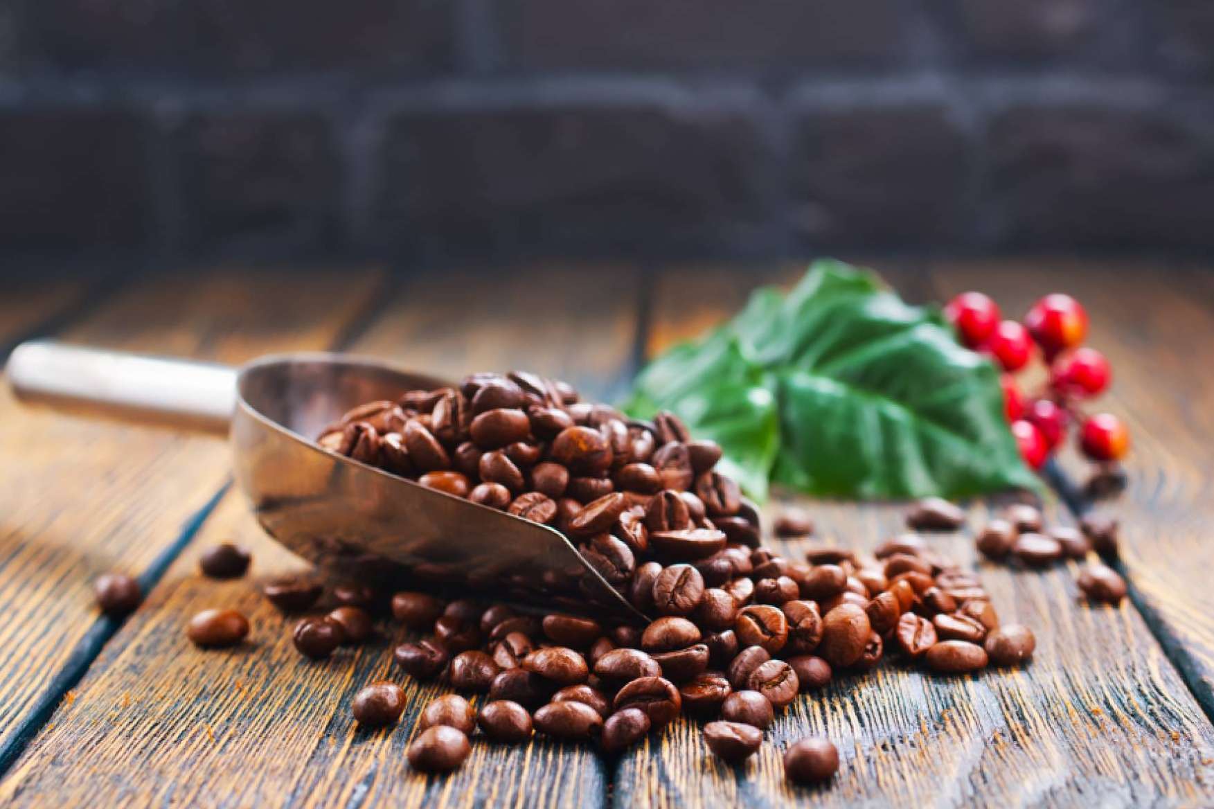 Características del café en grano de Bocca della Verità