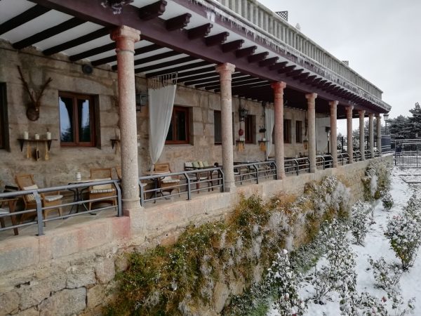 Además, admite a tus mascotas