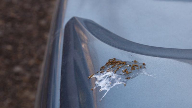 No se trata de un problema sin importancia