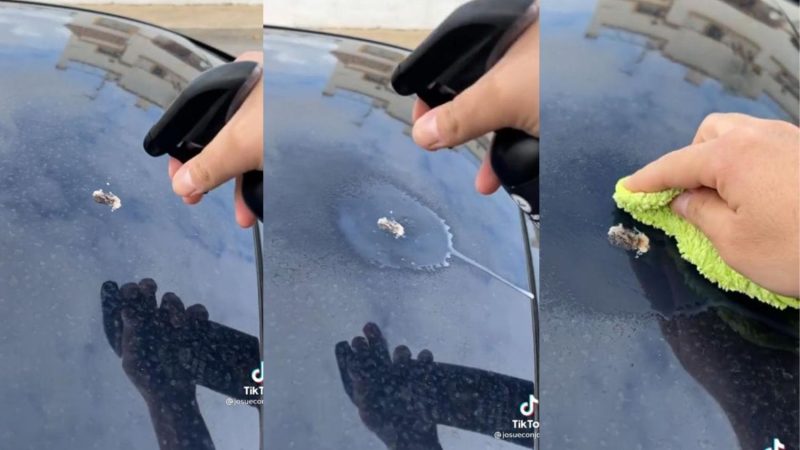 Primera solución casera para limpiar los excrementos de pájaro de la pintura de tu coche