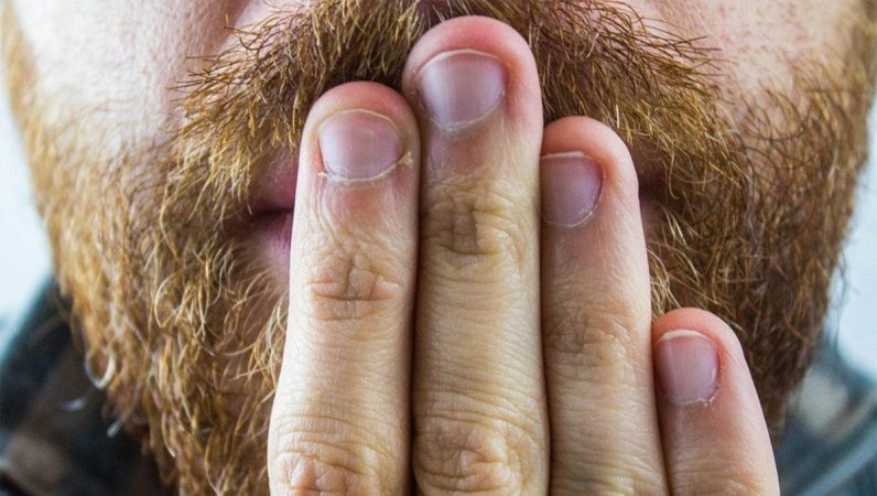 18c1344f 99c8 45ff ad35 d77cfed18d24 alta libre aspect ratio default 0 Merca2.es