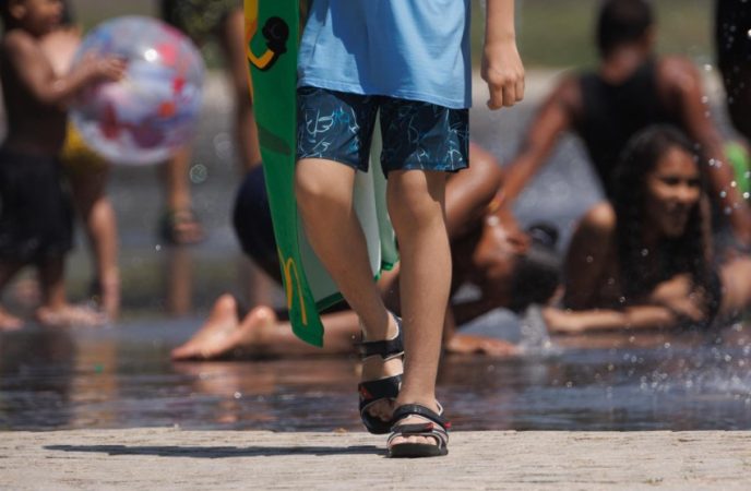 Lo que ocurrirá el martes, según Picazo