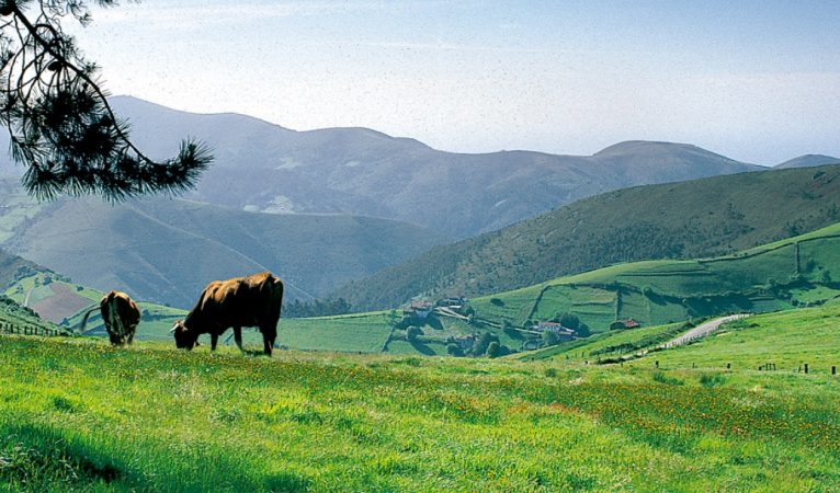 No te pierdas la superoferta de Renfe para inaugurar el nuevo AVE Madrid-Asturias, ¡corre que se acaban los billetes! 38 Merca2.es Cudillero pueblo de Asturias 2 Merca2.es