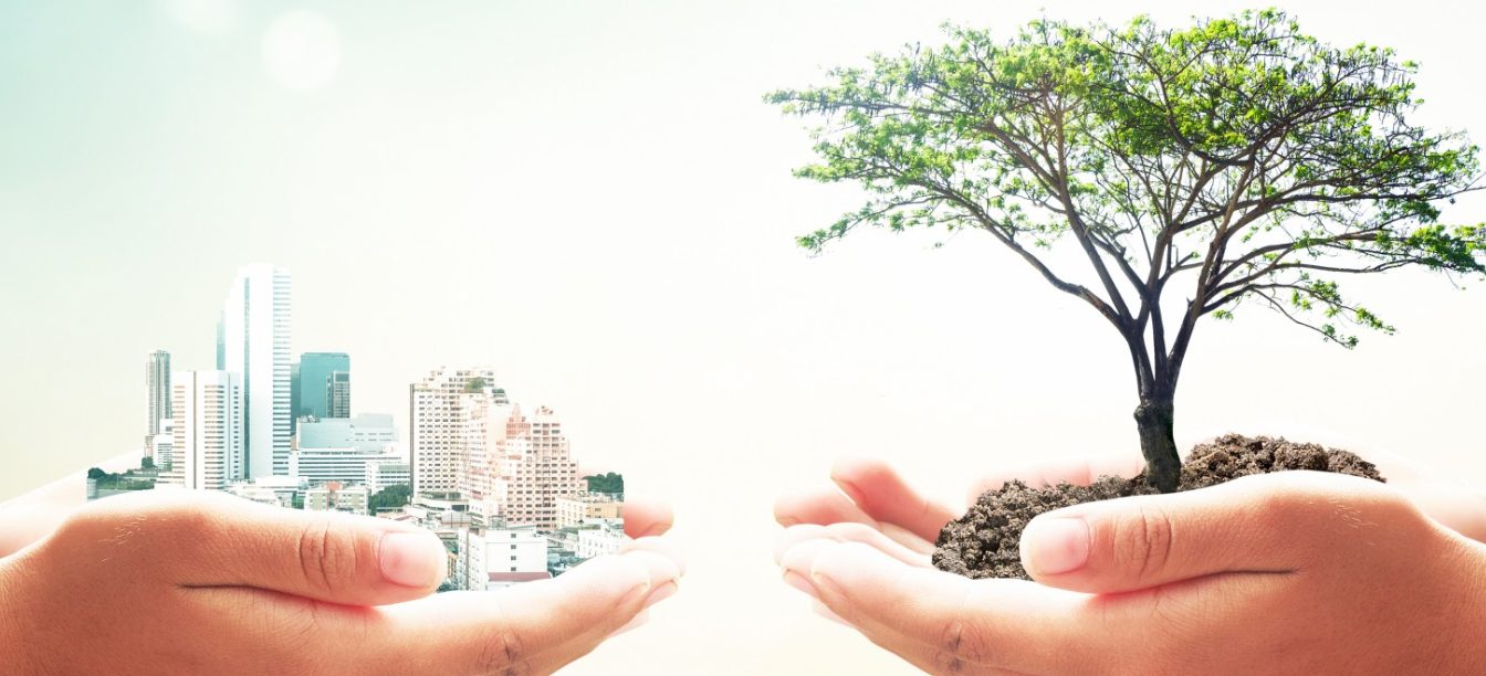 Sostenibilidad: 6 acciones para un futuro más limpio y saludable 2 Merca2.es La educación ambiental