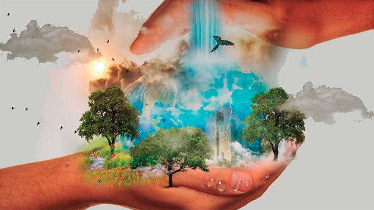 Impacto ambiental: 8 pequeñas acciones para generar grandes cambios