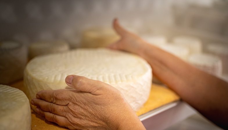 Mercadona tiene el mejor queso