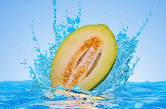 El delicioso melón