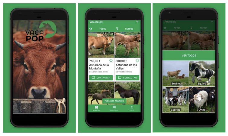 ¿Cuál es la ideal del Vacapop?