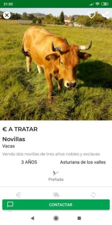 Se trata de una app asturiana