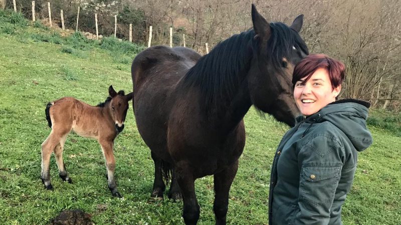 Un paseo por las conversaciones de la app